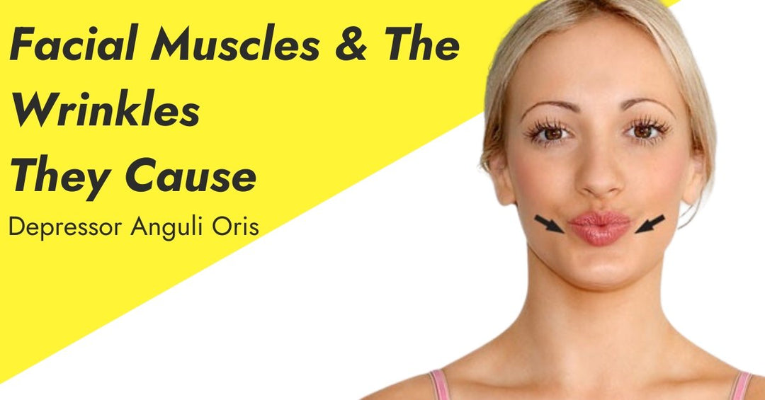 Facial Muscles & The Wrinkles They Cause: Depressor Anguli Oris - 7E Wellness