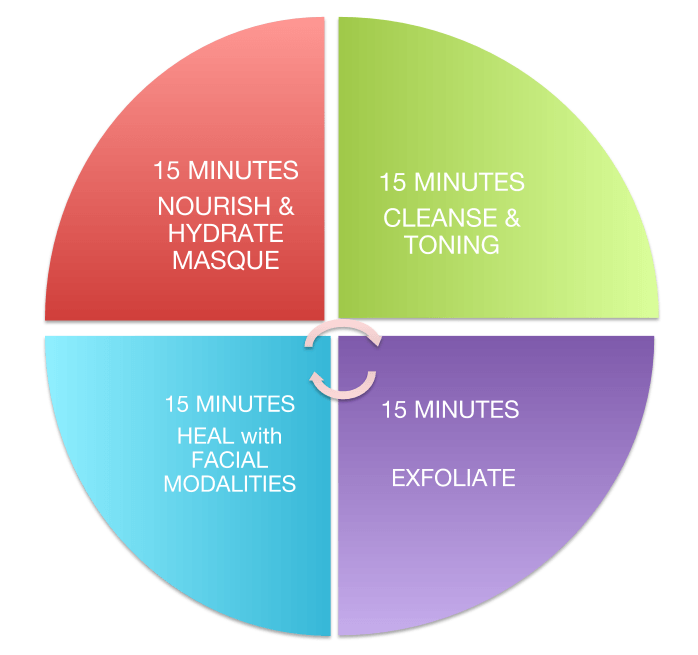 Anatomy of a Facial | Facial Time Wheel Management Concepts - 7E Wellness