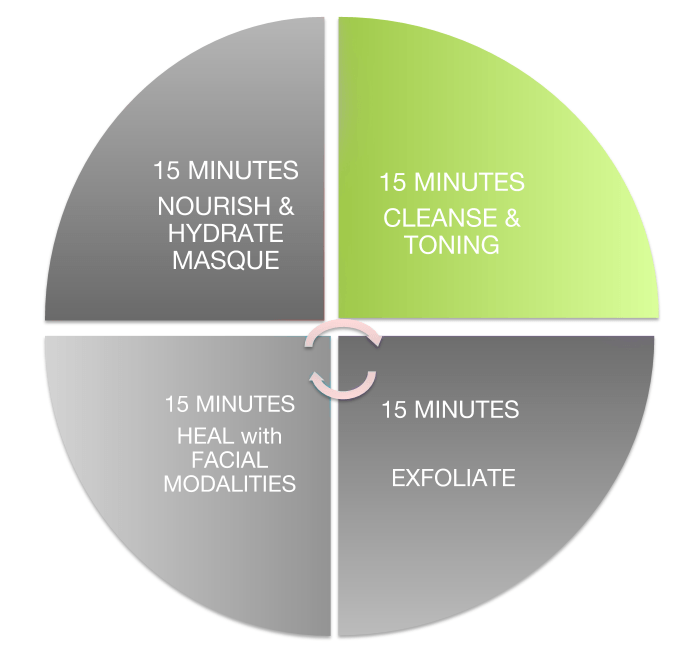 Anatomy of a Facial | Segment 1 | Cleanse - 7E Wellness