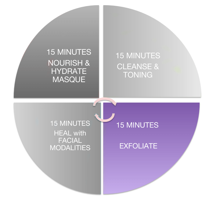 Anatomy of a Facial | Segment 2 | Exfoliate - 7E Wellness