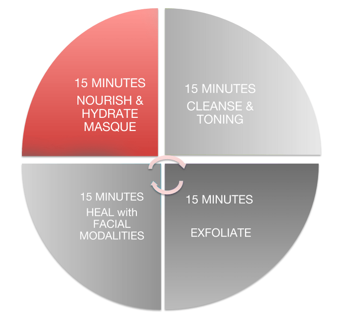 Anatomy of a Facial | Segment 4 | Nourish - 7E Wellness