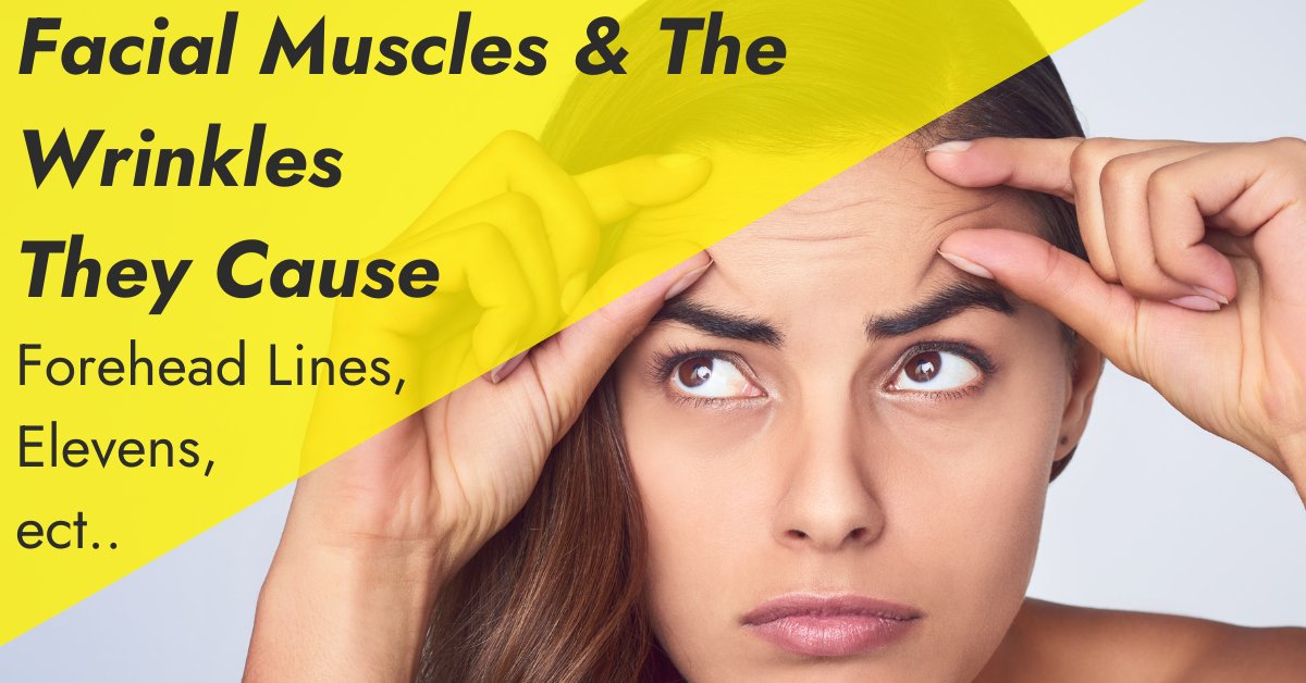 Facial Muscles & The Wrinkles They Cause: Crows Feet, Forehead Lines, Bunny, Ect.. - 7E Wellness