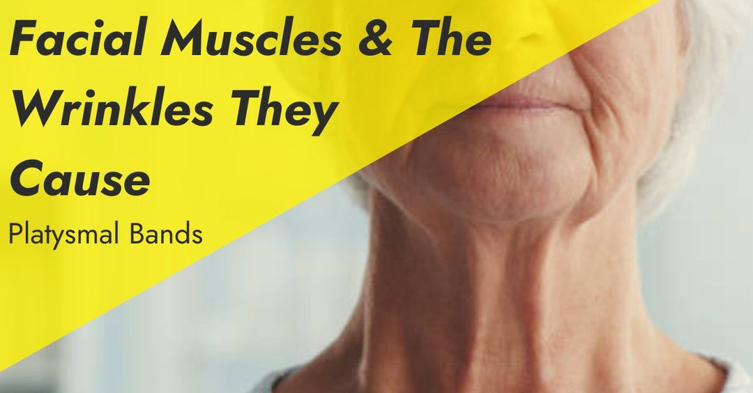 Facial Muscles & The Wrinkles They Cause: Platysmal Bands - 7E Wellness