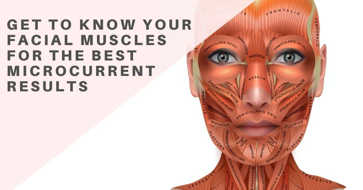 Get to Know your Facial Muscles for the Best Microcurrent Results - 7E Wellness