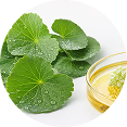 Centella Asiatica & Plant Stem-Cell Extracts