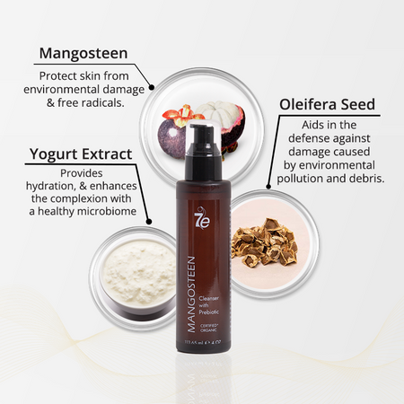 website-mangosteen-