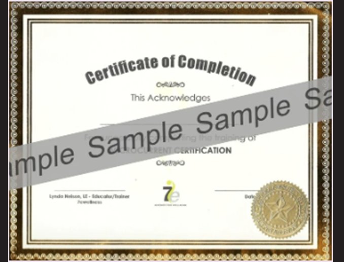 Master Microcurrent Certification Class - 7E Wellness