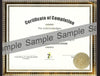Live Microcurrent Certification Class